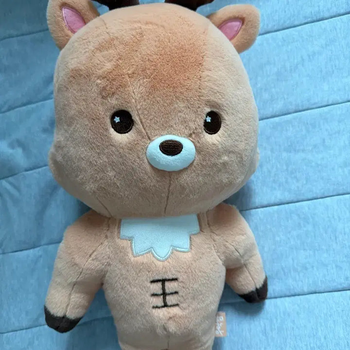 [SOLD OUT] 라이즈 우락밤 40cm 전시품