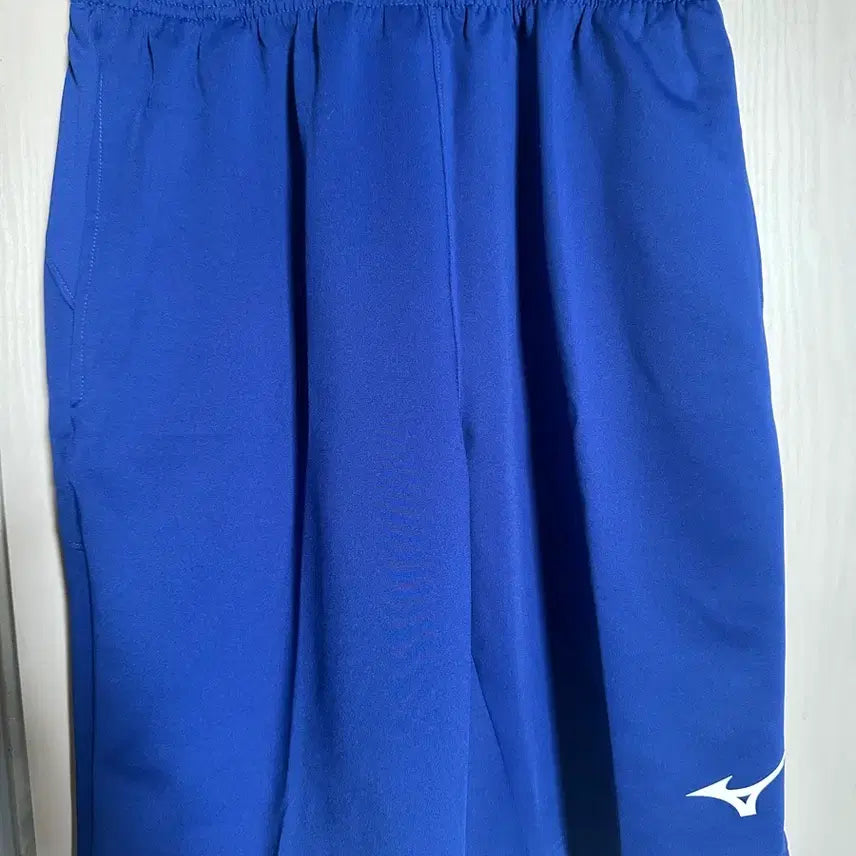 [BUNJANG] Mizuno Blue Shorts (New) / 새상품 미즈노 파란색 반바지