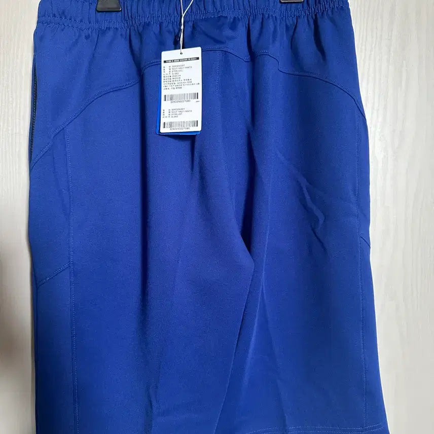 [BUNJANG] Mizuno Blue Shorts (New) / 새상품 미즈노 파란색 반바지