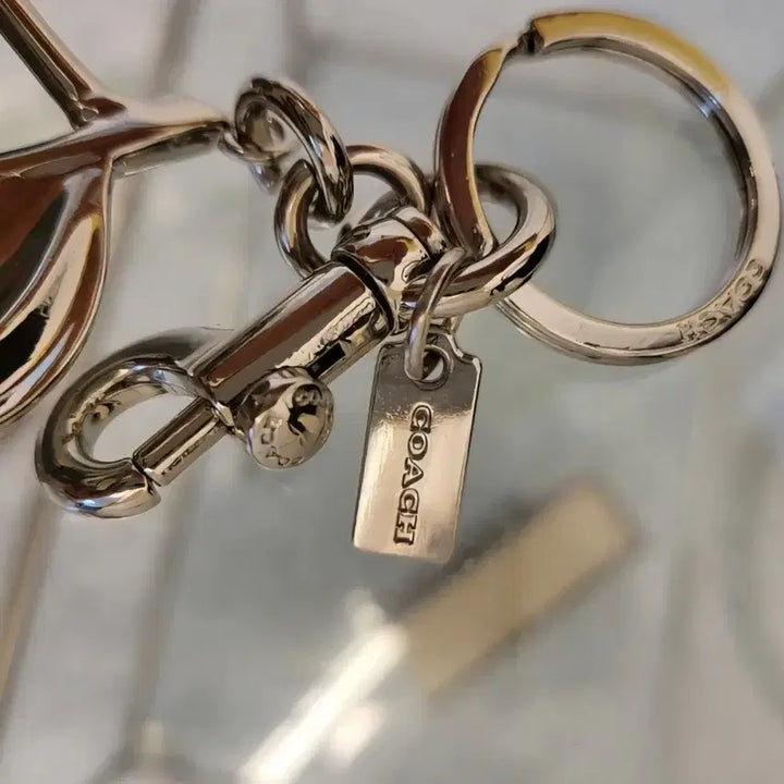[BUNJANG] Coach Glitter Cherry Keyring Silver Grey / 정품)코치 글리터 체리키링 실버 그레이
