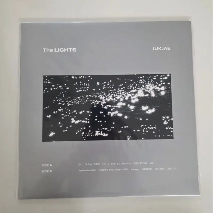 [BUNJANG] 적재 - 정규 2집 THE LIGHTS [실버컬러 LP] 미개봉 판매 / 적재 - 정규 2집 THE LIGHTS [실버컬러 LP] 미개봉 판매