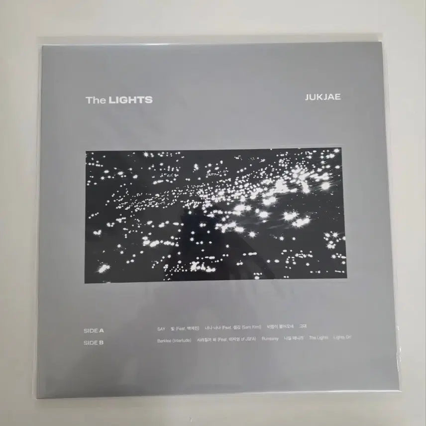 [BUNJANG] 적재 - 정규 2집 THE LIGHTS [실버컬러 LP] 미개봉 판매 / 적재 - 정규 2집 THE LIGHTS [실버컬러 LP] 미개봉 판매