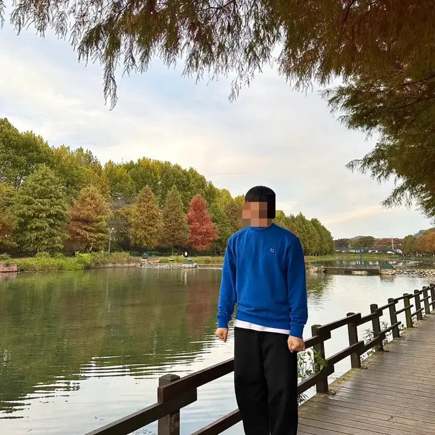 [BUNJANG] ADER Error Significant Sweatshirt/T-shirt / 아더에러 시그니피컨트 맨투맨(블랙,블루), 반팔(블루)