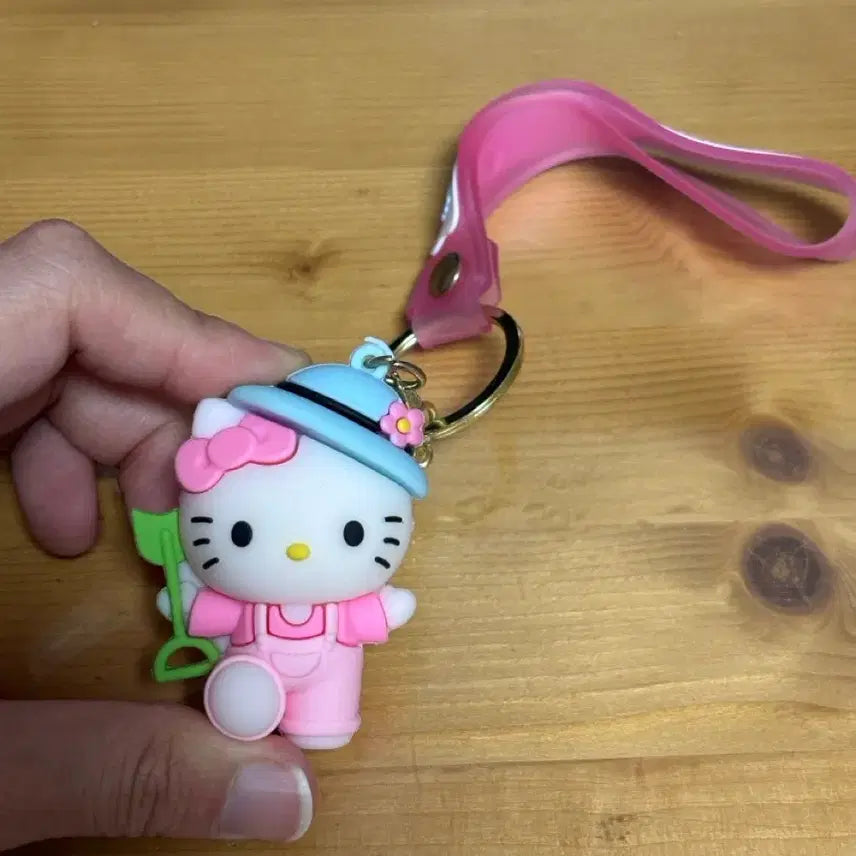 [BUNJANG] Sanrio Hello Kitty Flower Picnic Keyring Holder / 산리오 헬로키티 플라워 피크닉 키링 키홀더