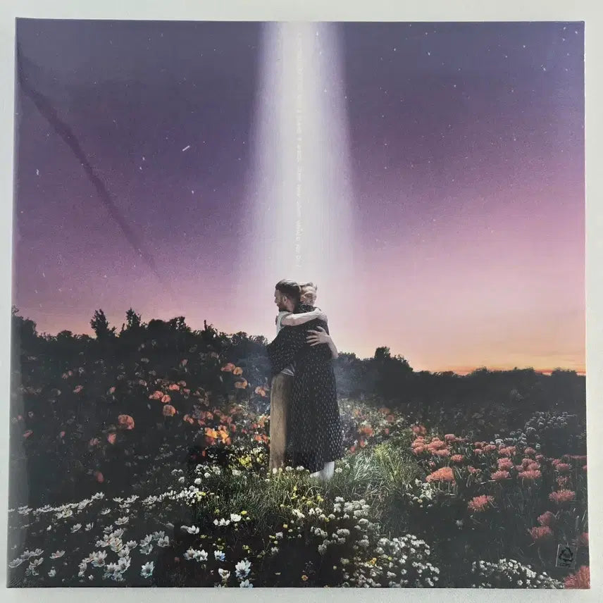 [BUNJANG] Honne What Would You Do Unsealed Vinyl LP / Honne의 What Would You Do 미개봉LP