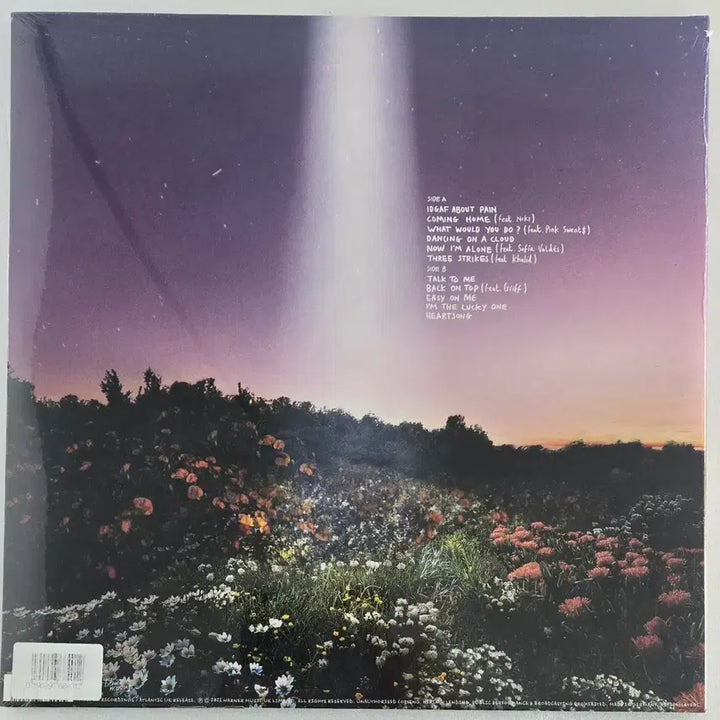 [BUNJANG] Honne What Would You Do Unsealed Vinyl LP / Honne의 What Would You Do 미개봉LP