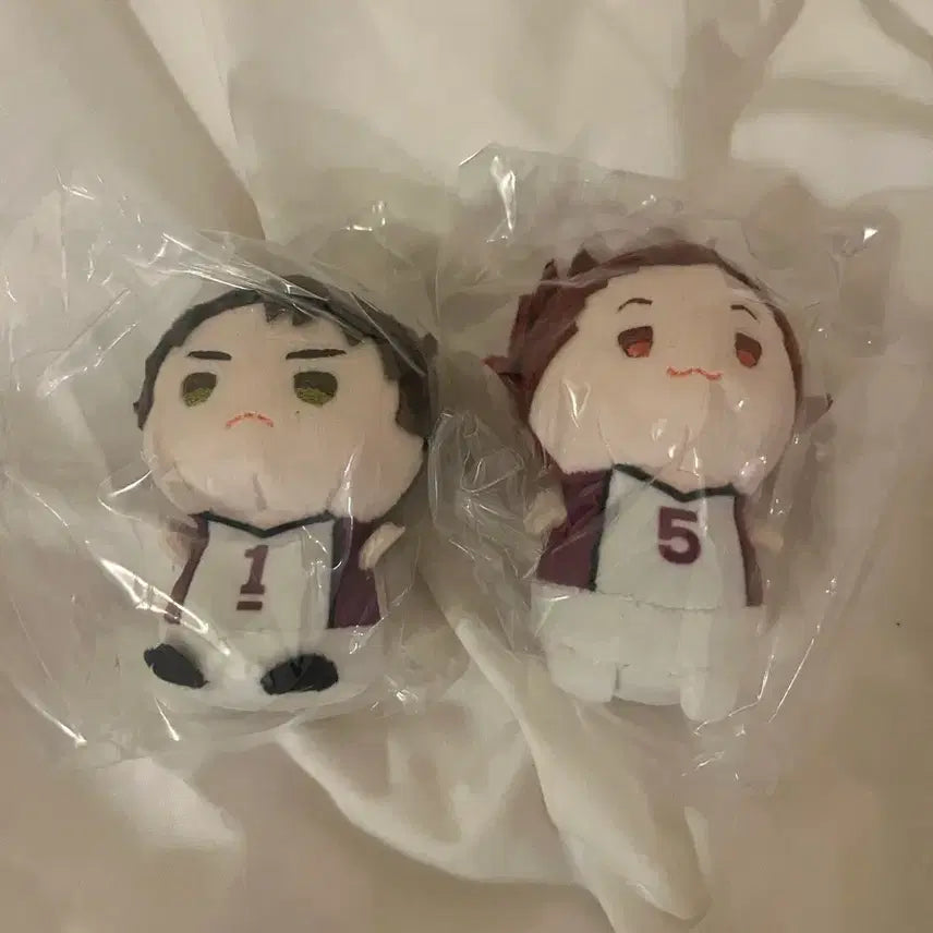 [SOLD OUT] 하이큐 모찌모찌 마스코트(우시지마+텐도) 일괄