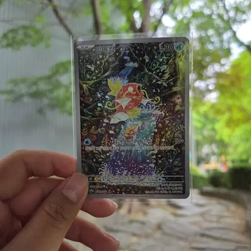 [BUNJANG] Shinji Kanda Studio Magikarp Art Card / 잉어킹 ar카드 팔아요