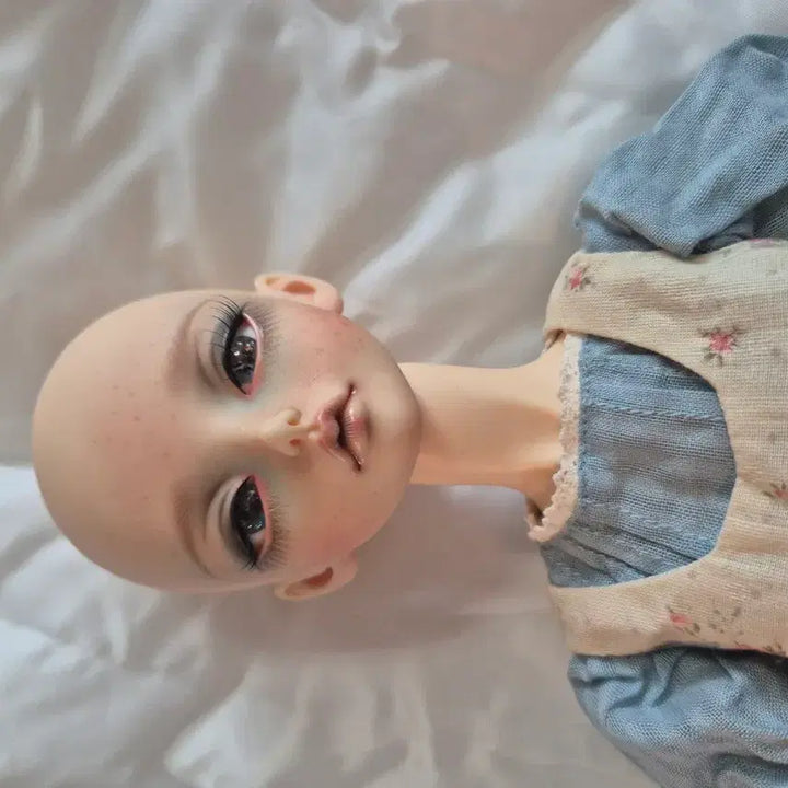 [BUNJANG] Fixwood Ball-Jointed Doll (60cm) / 픽스우즈 구체관절 인형(60cm) 판매
