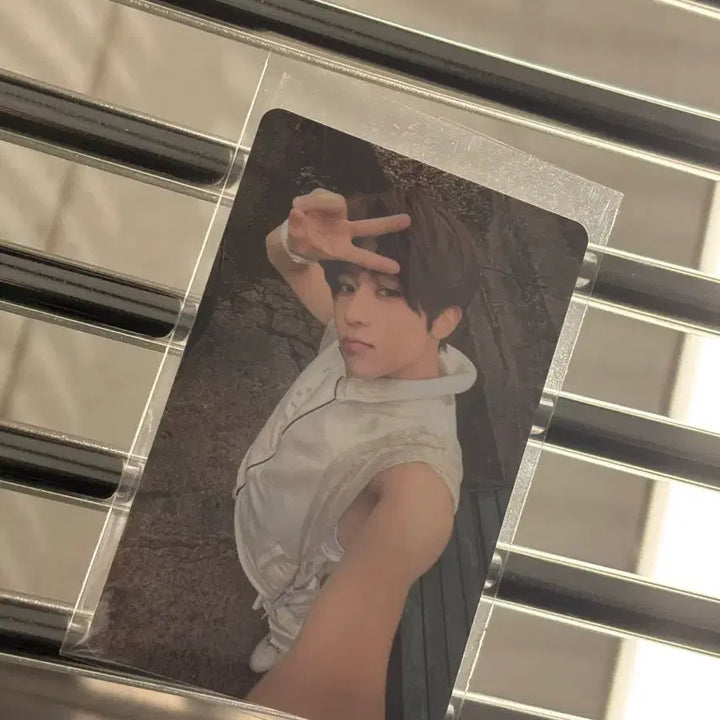 [BUNJANG] NCT WISH Odd To Love Photocard Sion / 엔시티 위시 오드투러브 팝업 5만원 포카 시온