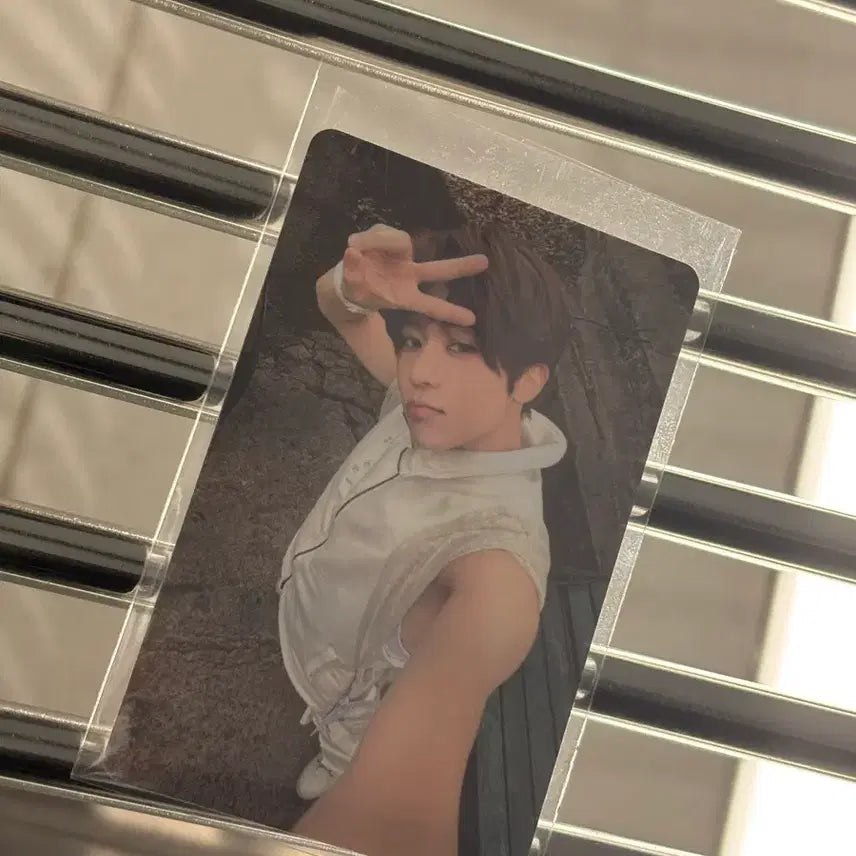 [BUNJANG] NCT WISH Odd To Love Photocard Sion / 엔시티 위시 오드투러브 팝업 5만원 포카 시온