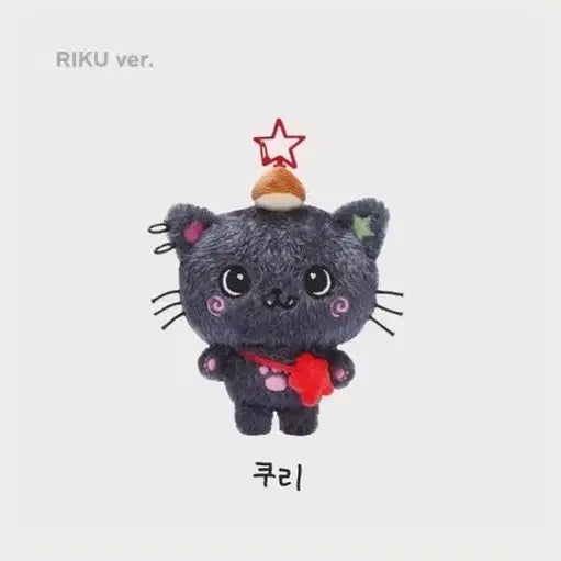 [SOLD OUT] 위시돌 쿠리 양도