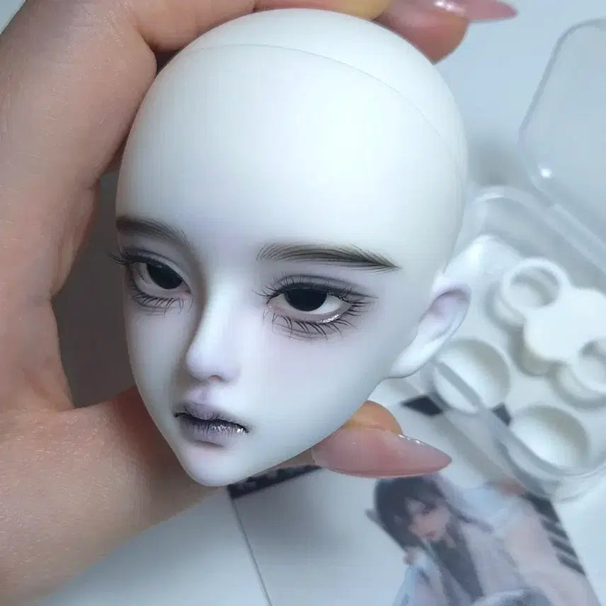 [BUNJANG] MSD BJD Doll Head / 풀박스 + 안구 + MSD 구관 헤드 구체관절인형 헤드 팝니다