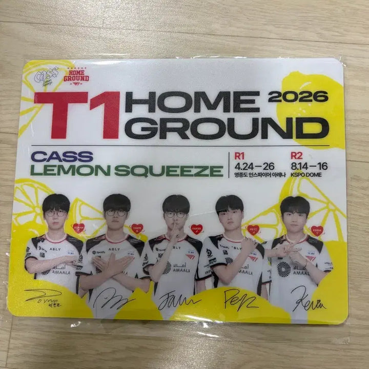 [BUNJANG] T1 Home Ground Mouse Pad / T1 티원 카스 Home Ground 마우스패드