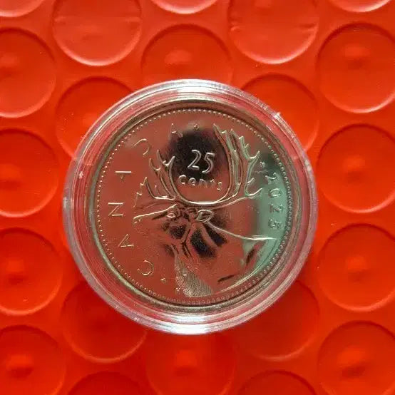 [BUNJANG] Canada 2025 25 Cent Coin Moose / 2025년 캐나다 25센트 동전