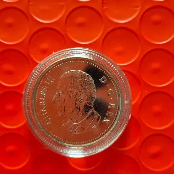 [BUNJANG] Canada 2025 25 Cent Coin Moose / 2025년 캐나다 25센트 동전