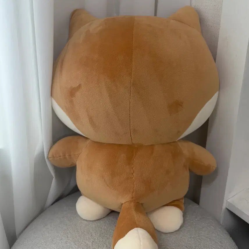 [SOLD OUT] 데이식스 영케이 데니멀즈 자이언트 케