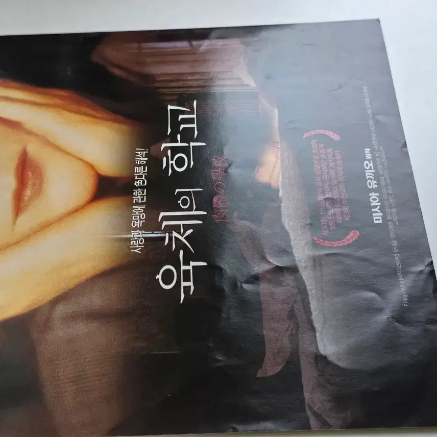[BUNJANG] [영화 전단지] 1998 육체의 학교 / [영화 전단지] 1998 육체의 학교