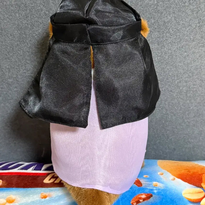 [SOLD OUT] 한복 우소우소짱 중형인형 팝니다