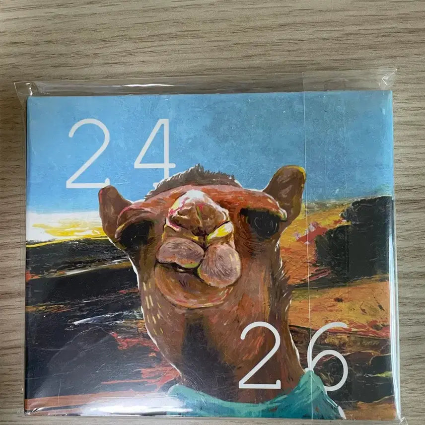[SOLD OUT] 빈지노 2426 초판 미개봉