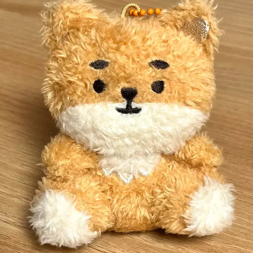 [BUNJANG] Day6 Young K Sitting Doll / 데이식스 영케이 앉은케 인형 쁘멀