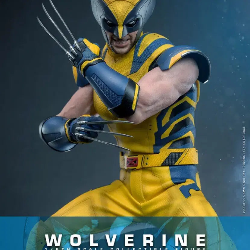 [BUNJANG] Hot Toys MMS753 Wolverine 1/6 Scale Figure Regular Edition / 핫토이 mms753 울버린 1/6 피규어 일반판