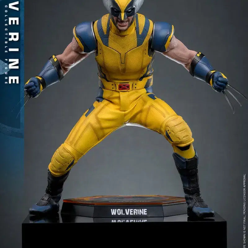 [BUNJANG] Hot Toys MMS753 Wolverine 1/6 Scale Figure Regular Edition / 핫토이 mms753 울버린 1/6 피규어 일반판