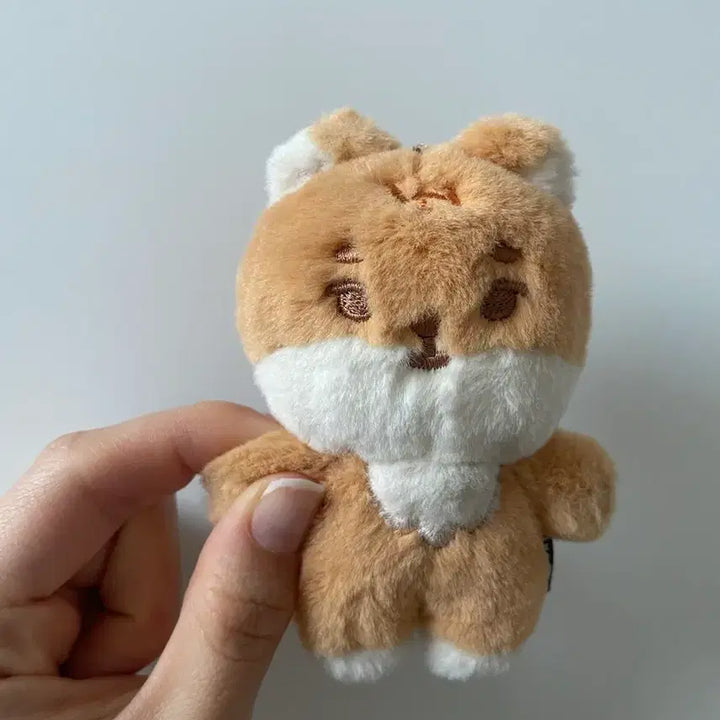 [BUNJANG] Day6 Petitmalz Case / 데이식스 쁘띠멀즈 케