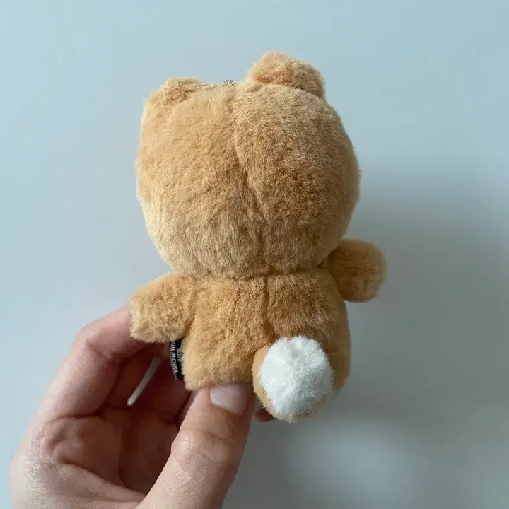 [BUNJANG] Day6 Petitmalz Case / 데이식스 쁘띠멀즈 케