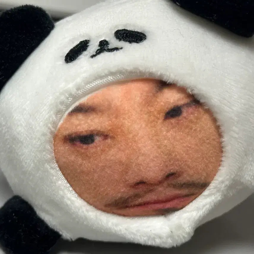 [BUNJANG] Bao Sound Plush / 침바오 음성 인형