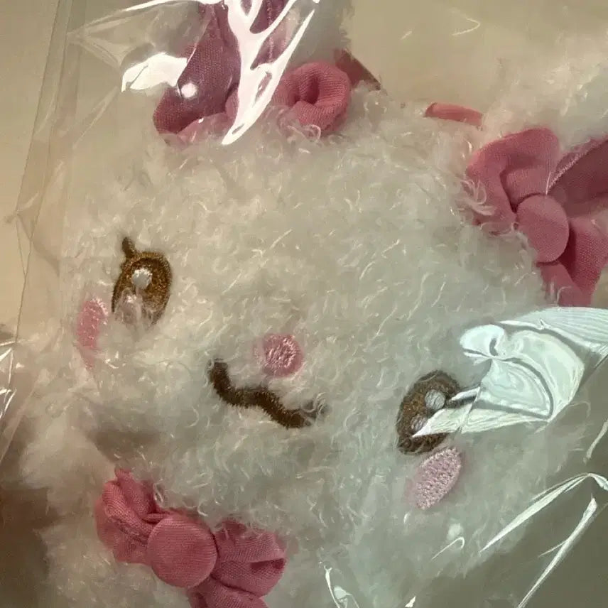 [SOLD OUT] 하뀨하 토라뮈 판매합니다