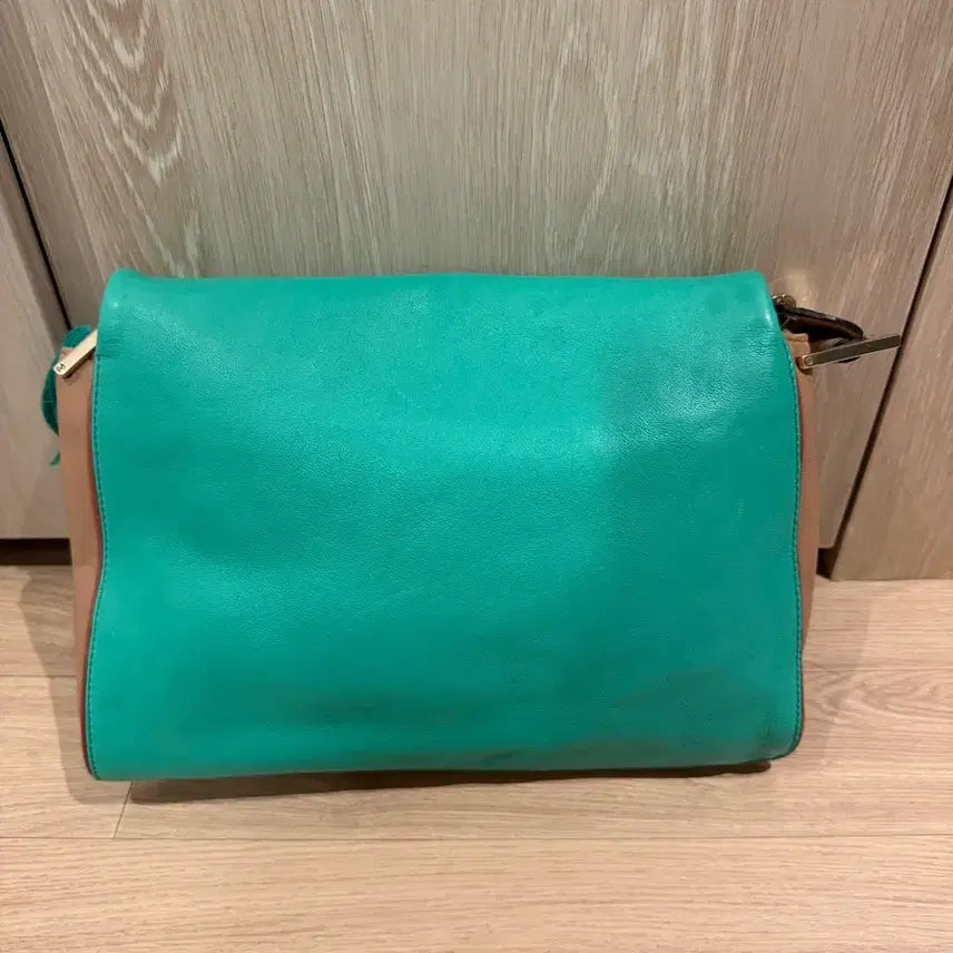 [BUNJANG] Chloé Jade Green Shoulder Bag / 끌로에 제이드그린 숄더백