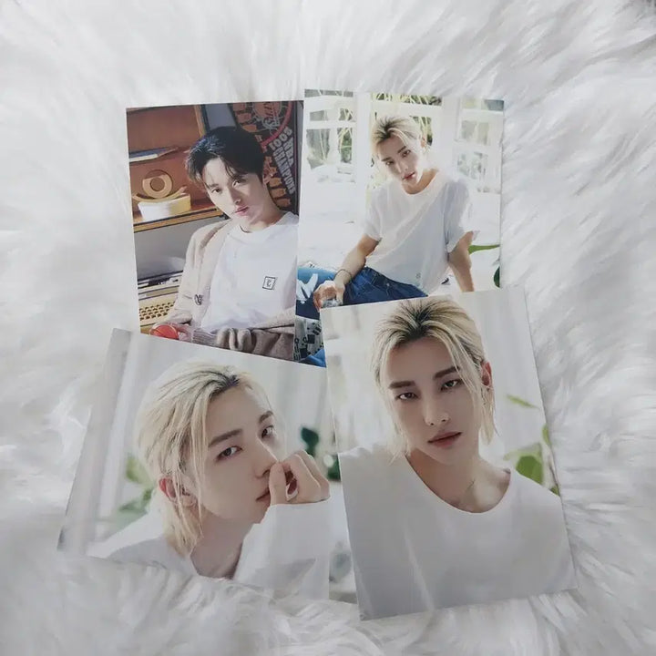 [SOLD OUT] 스트레이키즈 포카 엽서 일괄 양도 시즌그리팅 시그 스키즈 skz