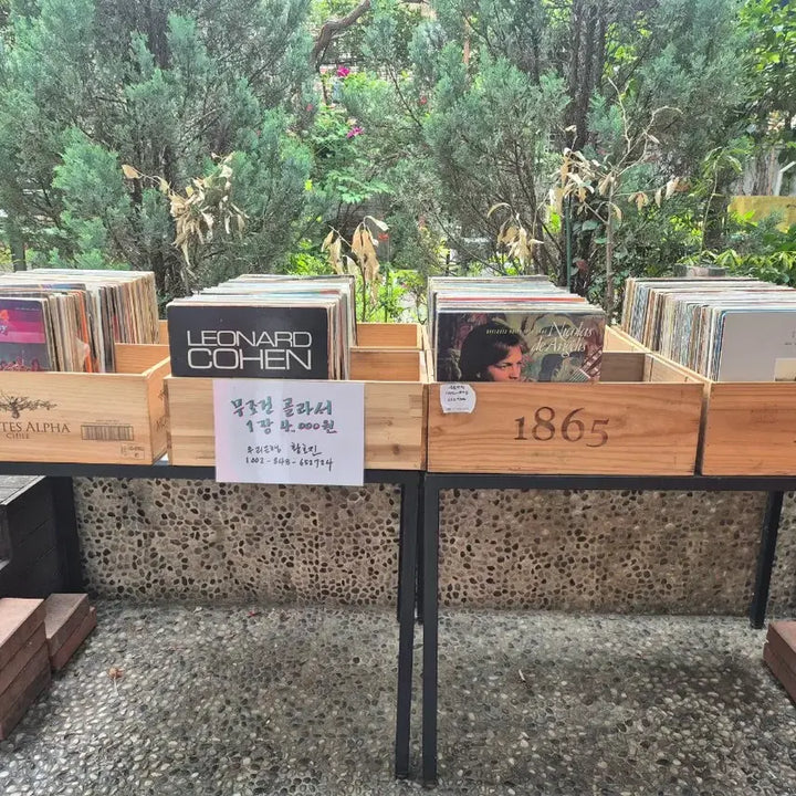 [BUNJANG] LP Vinyl Records / 엘피판 장당 4천원 판매