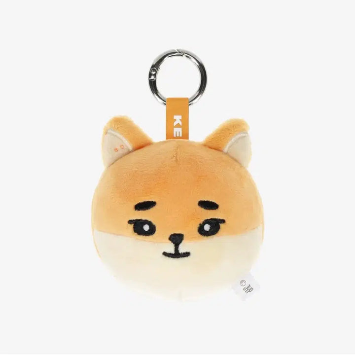 [SOLD OUT] 데이식스 데케이드콘 일본 md 굿즈 라운드 페이스 백참 케