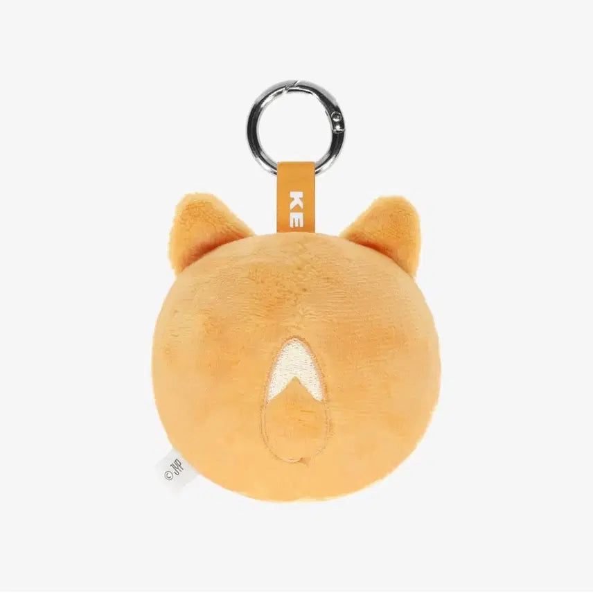 [SOLD OUT] 데이식스 데케이드콘 일본 md 굿즈 라운드 페이스 백참 케