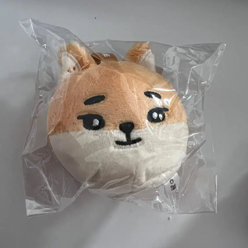 [SOLD OUT] 데이식스 데케이드콘 일본 md 굿즈 라운드 페이스 백참 케