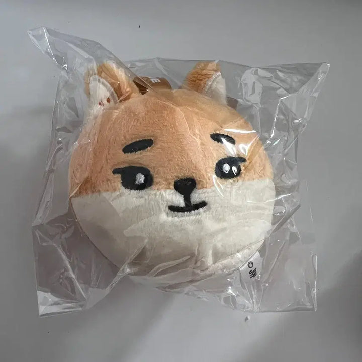 [SOLD OUT] 데이식스 데케이드콘 일본 md 굿즈 라운드 페이스 백참 케