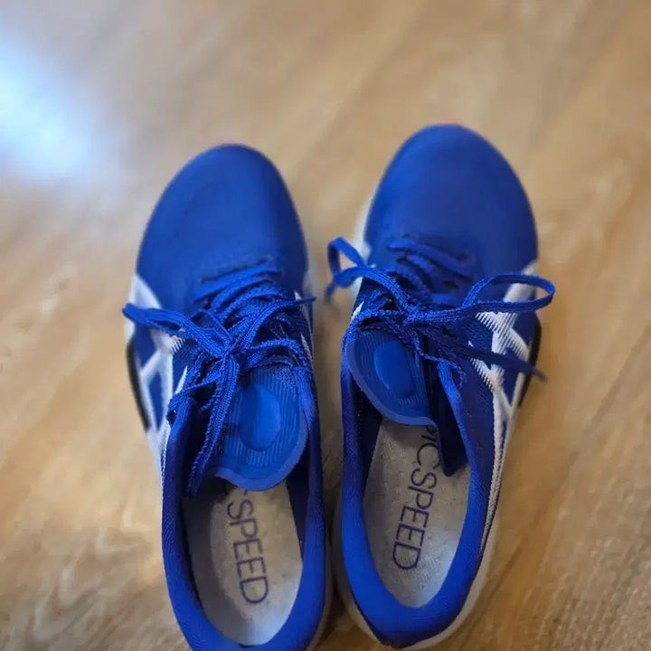 [BUNJANG] ASICS Magic Speed 5 Running Shoes - Cobalt Blue, Size 250 / 5회미만 착용))아식스 매직스피드 5 250 코발트 블루