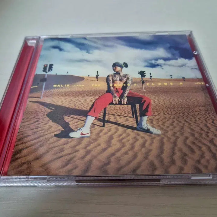 [BUNJANG] Don Malik Cactus Flower CD / 던말릭-선인장화