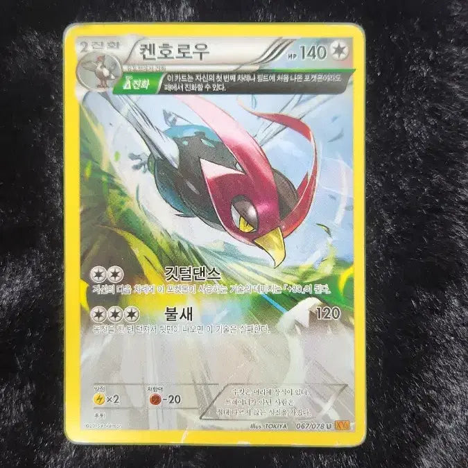 [BUNJANG] KenHorou XY Pokemon Card / 켄호로우 xy 포켓몬카드