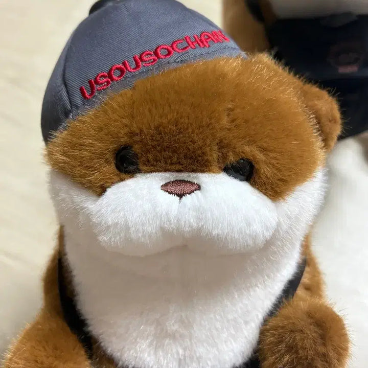 [BUNJANG] Woosoo Woosoo Jjang University Student Headset Medium Doll Set New / 우소우소짱 대학로 대학생 헤드셋 중형인형 세트 새상품