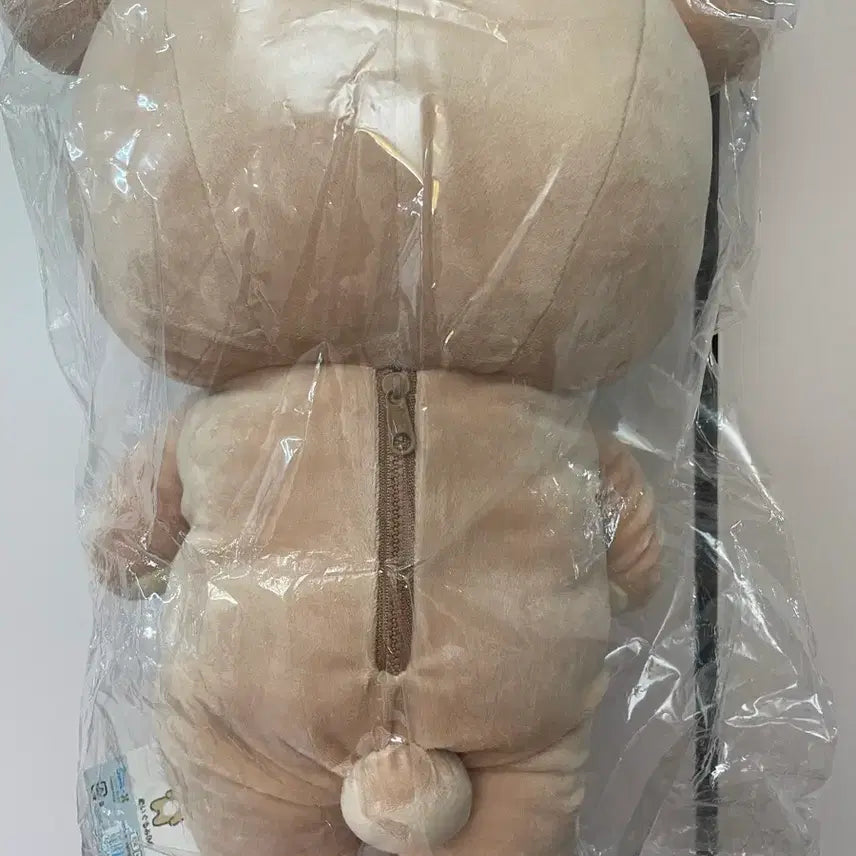 [BUNJANG] San-X Rilakkuma Basic Series M Size Plush / 산엑스 리락쿠마 베이직 M사이즈 누이