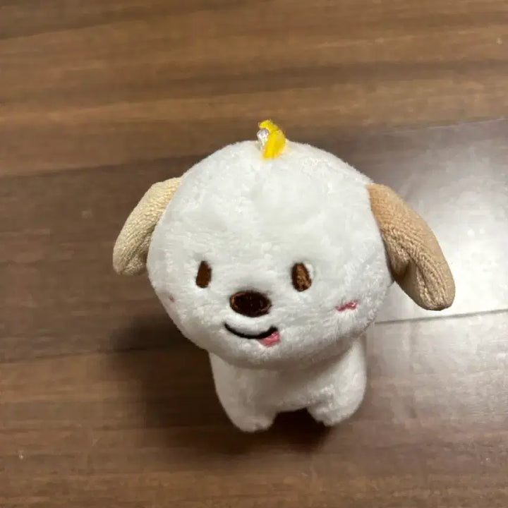 [BUNJANG] RIIZE Anton 1st Fanclub Merch &