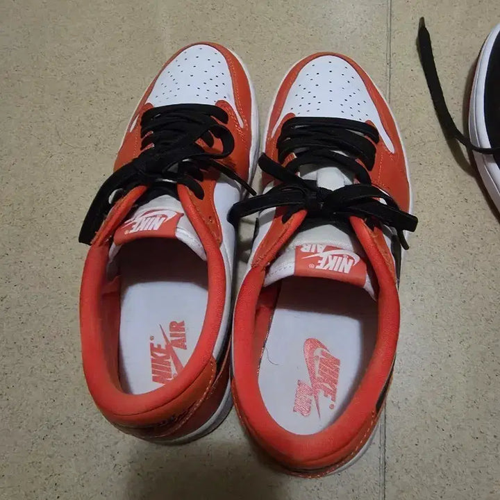 [SOLD OUT] (W)나이키 조던 1 로우 스타피쉬 W260