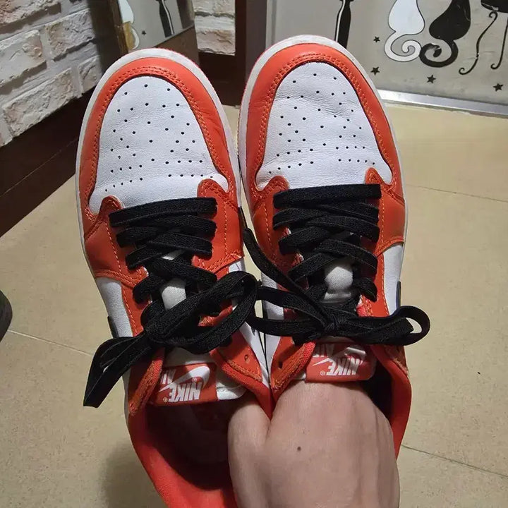 [SOLD OUT] (W)나이키 조던 1 로우 스타피쉬 W260