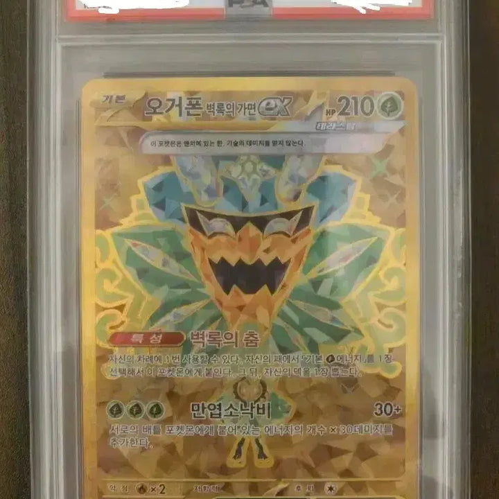 [BUNJANG] Ogerpon UR PSA10 Trading Card / 오거폰 UR PSA10