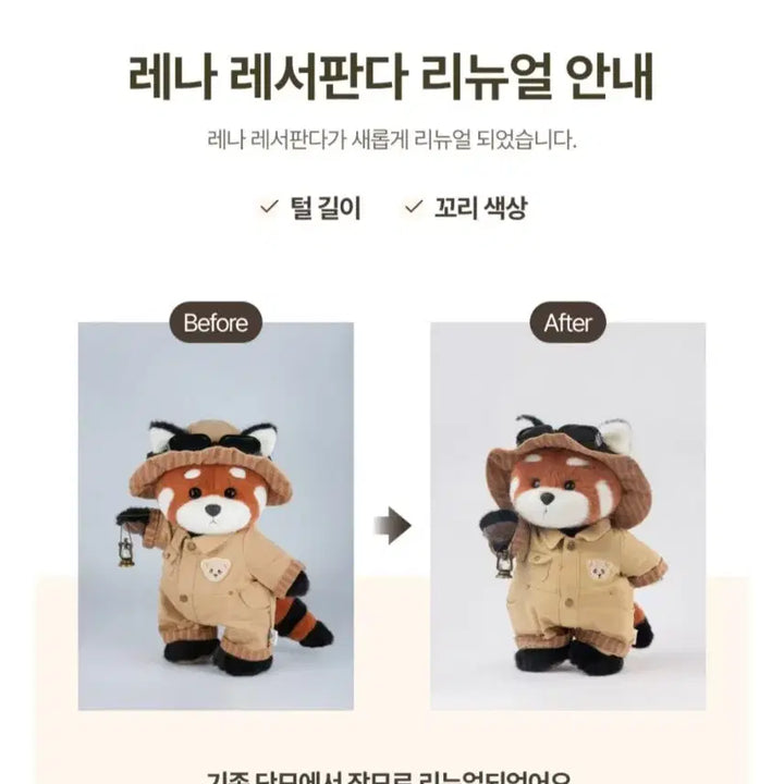 [BUNJANG] Teddy Tales Lena Lesser Panda M (Old Version) Photocard Holder / 테디테일즈 레나 레서판다M(구버전)