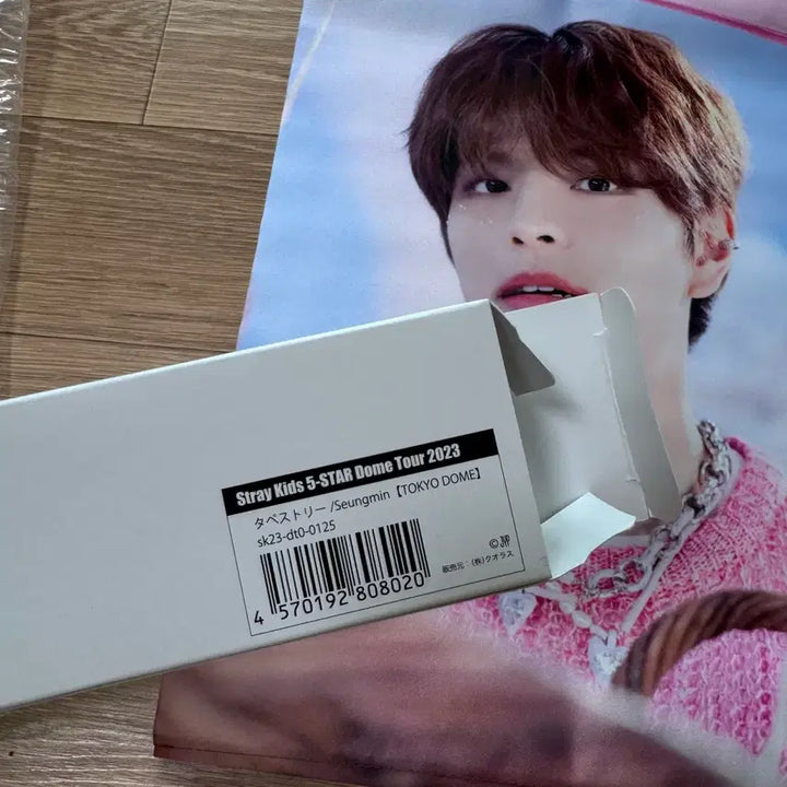 [BUNJANG] Stray Kids Seungmin Tapestry / straykids 승민 태피스트리