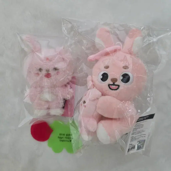 [BUNJANG] Day6 Magnet Pilki Bundle Set / 데이식스 마그넷 필끼 (볼따구 자석). 나안아 필 일괄 양도